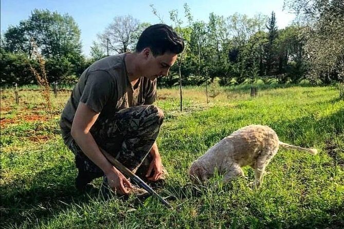 Truffle hunting - Truffle hunting near San Gimignano: what makes it special