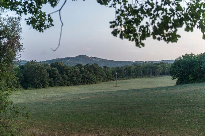 Truffle hunting - Timing realities: when your start time may change