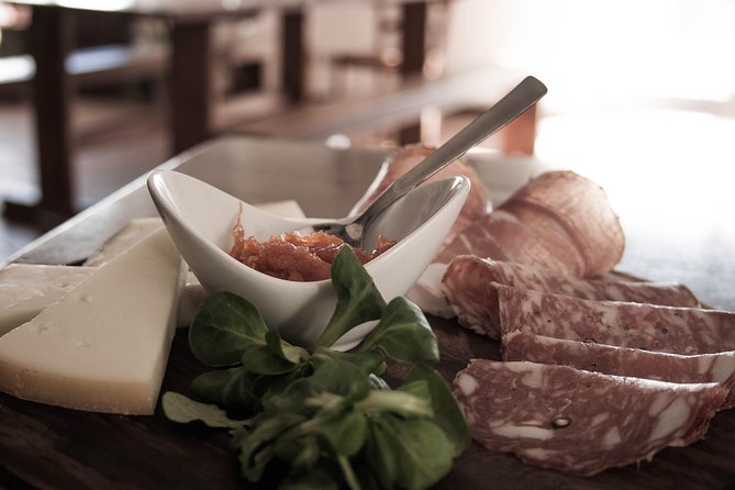 Truffle Hunting and Cooking Class - Truffles and four-legged helpers near San Gimignano