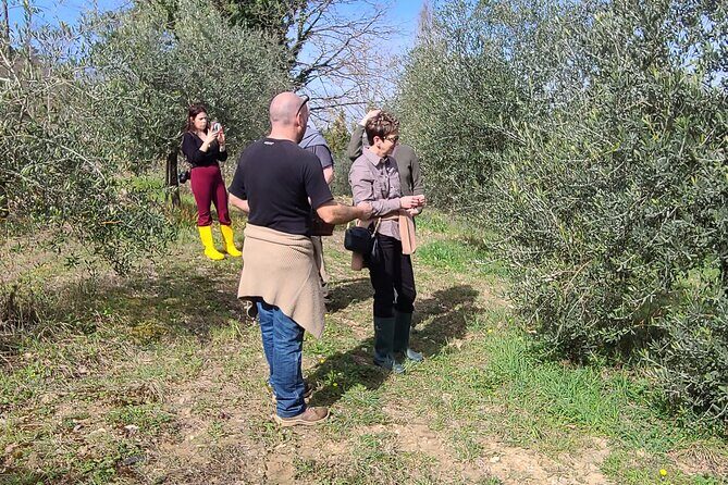 Truffle Hunting in Chianti, pasta class and lunch - Price and value: what you’re really paying for
