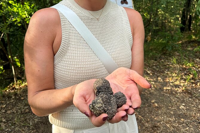 Truffle Hunting in San Gimignano - How the 2-Hour Format Really Works