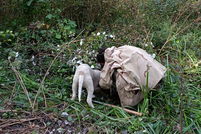 Truffle Hunting in San Miniato in Tuscany with Tasting - Key things I’d clock before you go