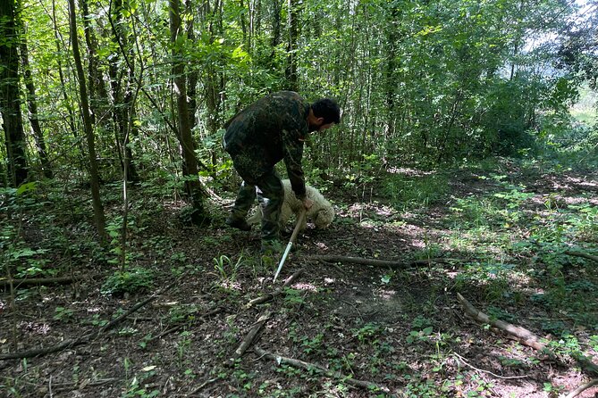 Truffle Hunting in San Miniato in Tuscany with Tasting - What you learn in the woods (beyond just truffles are expensive)