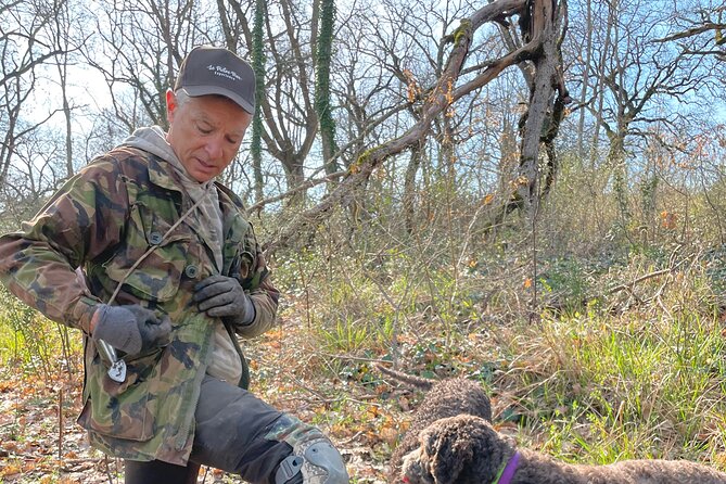 Truffle Hunting in Tuscany - The countryside angle: why the walk feels more Tuscan than just truffle-focused