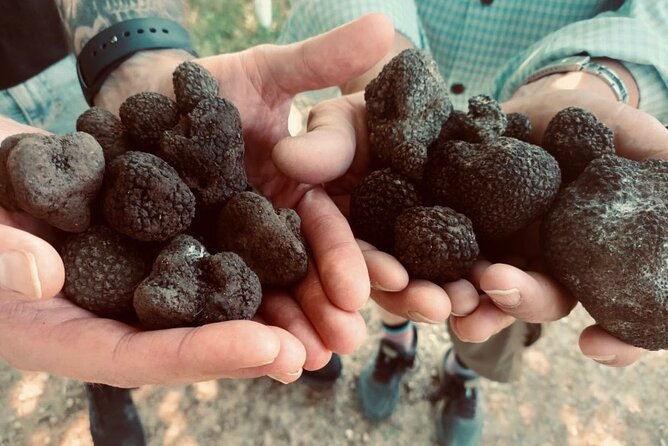 Truffle Hunting in Tuscany - Food expectations: what Le Pietre Vive might add after the hunt