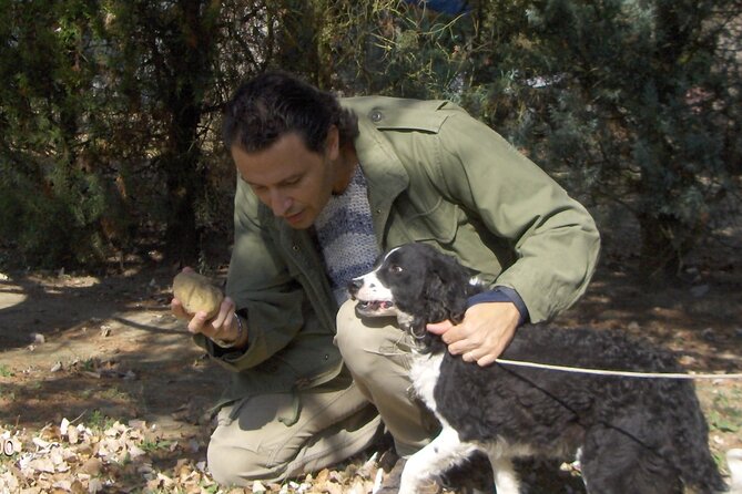 Truffle Hunting & Tasting in San Miniato Tuscany with Dogs - What the Woods Walk Really Includes (And Why It’s Not Just Scenic Time)