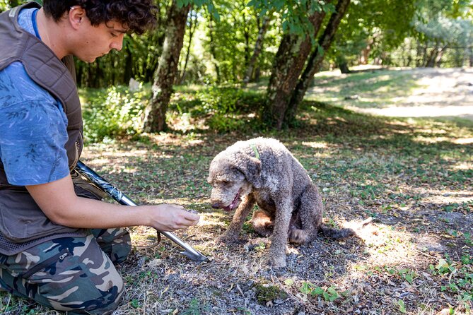 Truffle Hunting & Truffle Cooking Class - Where the Day Begins: Podere La Marronaia and Le Colonne