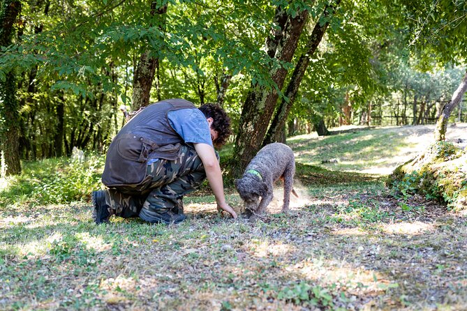 Truffle Hunting & Truffle Cooking Class - Should You Book This Truffle Hunting & Cooking Class?