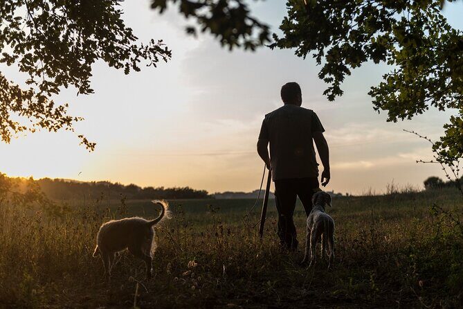 Truffle Lunch & Hunting Experience in San Gimignano - San Gimignano on your doorstep: why the setting matters