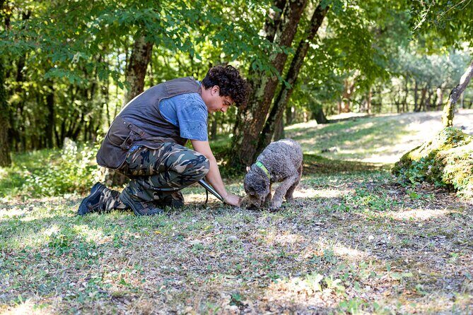 Truffle Lunch & Hunting Experience in San Gimignano - The truffle lunch menu: what’s served and how pairings help
