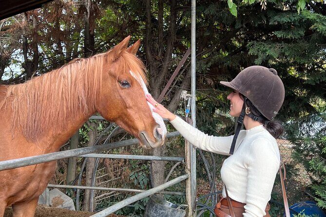 Tuscan Chianti Hills Horseback Riding Tour - Key things to know before you ride