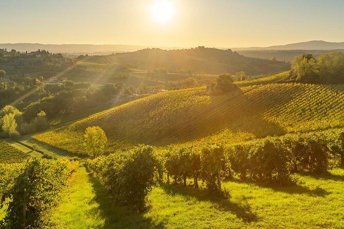 Tuscan Chianti Hills Horseback Riding Tour - The trail route: from quiet roads to forest paths
