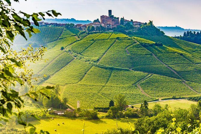 Tuscan Chianti Hills Horseback Riding Tour - Stop along the way: Strada Statale 222 Chiantigiana