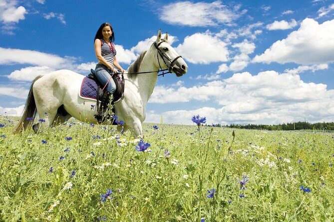 Tuscan Chianti Hills Horseback Riding Tour - Skill level and how your pace will be set