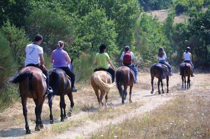 Tuscan Chianti Hills Horseback Riding Tour - Getting to the stables: Hotel Minerva is your anchor point