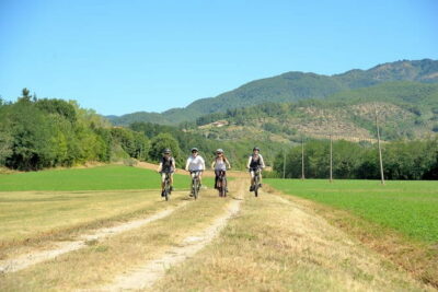 Tuscan countryside bike tour and food tasting - Stop in Vicchio and around the lake: slow Tuscany first