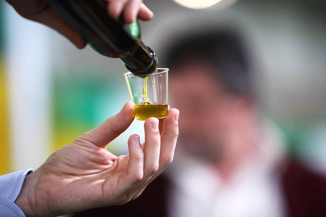 Tuscan ExtraVirgin Olive Oil Tour - Key highlights to expect