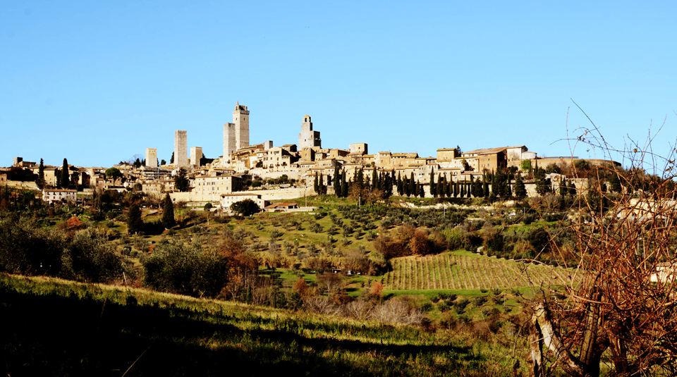 Tuscan Lunch & Winery Tour with Tasting in San Gimignano - Five Wines, One Guided Tasting: How to Taste Instead of Just Sip