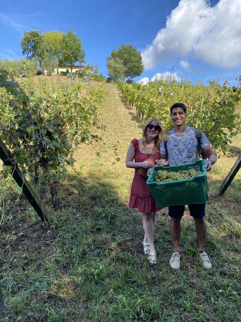 Tuscan Wine Tour by van from Lucca - Key highlights you’ll care about