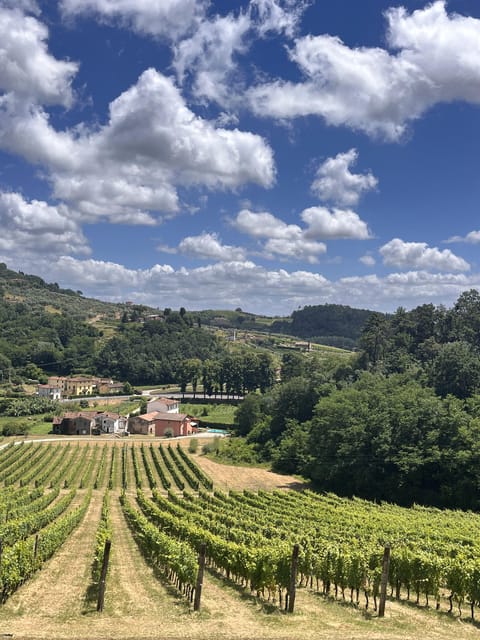 Tuscan Wine Tour by van from Lucca - Lucca pickup and the licensed van advantage
