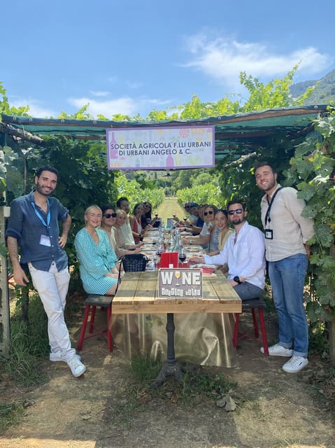 Tuscan Wine Tour by van from Lucca - Organic wines and what you should actually listen for