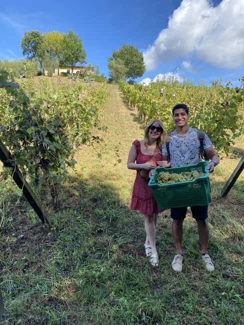 Tuscan Wine Tour by van from Pisa - Who should book this tour (and who might not love it)