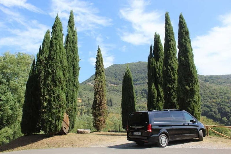 Tuscan Wine Tour by van from Pisa - Porta a Lucca pickup to the hills: how the 6 hours really plays