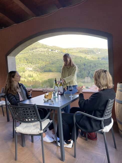 Tuscan Wine Tour by van from Pisa - Organic wines without chemicals: what to expect from the tasting