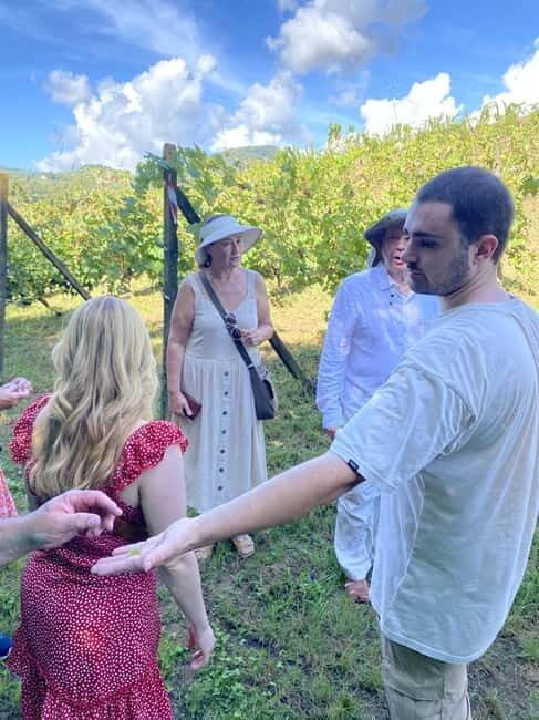Tuscan Wine Tour by van from Pisa - Light lunch and the early start: what to plan before the first pour