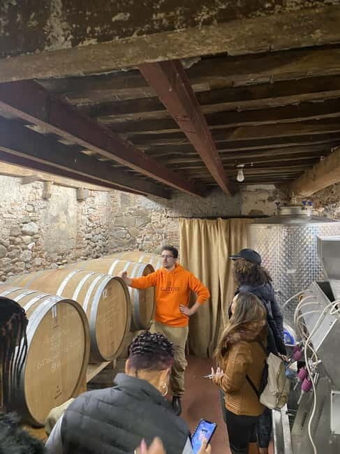 Tuscan Wine Tour by van from Pisa - Price and value for a Pisa-to-Lucca wine day