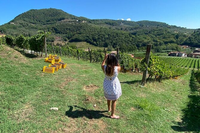 Tuscan Wine Tour in Lucca by van - Price and Value: Does $180.27 Feel Fair?