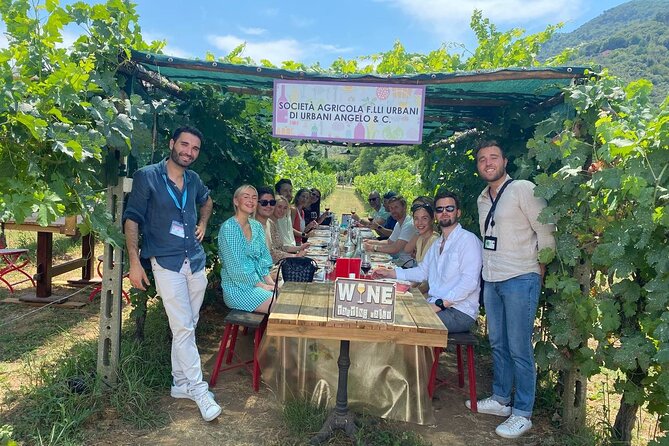 Tuscan Wine Tour in Pisa by van - Stop Two: A second historical organic producer with a different approach