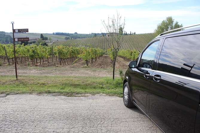Tuscan Wine Tour in Pisa by van - Price and value: what $189.44 buys you