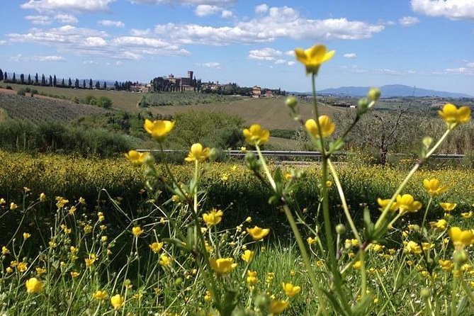 Tuscany Bike Tours Through the Chianti Hills with Wine Tasting - Castle Wine Tasting: The Part You’ll Remember Weeks Later
