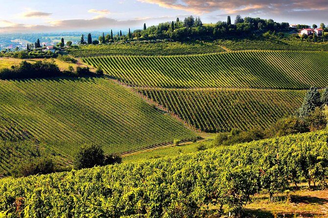 Tuscany countryside from Livorno: Private Volterra, San Gimignano & Wine Tasting - Volterra in Two Hours: Etruscan Streets and Movie-Famous Corners