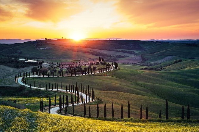 Tuscany Countryside including Wine Tasting & Lunch - Private Day Trip from Rome - Siena: medieval lanes, Piazza del Campo, and that skyline moment