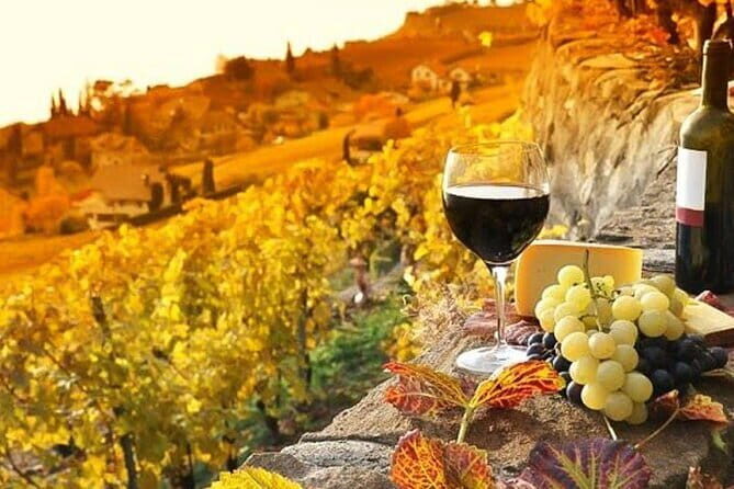Tuscany Day Trip from Florence: Siena, San Gimignano, Pisa and Lunch at a Winery - Siena’s contrade: why the city feels like 17 small worlds