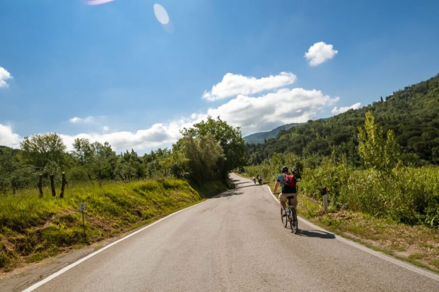 Tuscany: E-Bike Tour from Florence with Lunch - Quick hits before you go