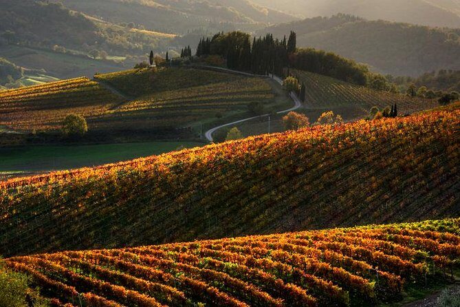 Tuscany Hiking Tour from Siena Including Wine Tasting - Quick hits before you go