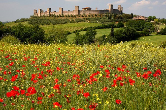 Tuscany Hiking Tour from Siena Including Wine Tasting - The wine tasting at Cantinetta di Monteriggioni: what to expect