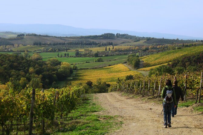 Tuscany Hiking Tour from Siena Including Wine Tasting - Price and value: is $72.56 a fair deal?