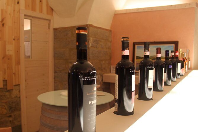Tuscany Hiking Tour from Siena Including Wine Tasting - The hike in Tuscany: olive groves, vineyards, and those plant facts