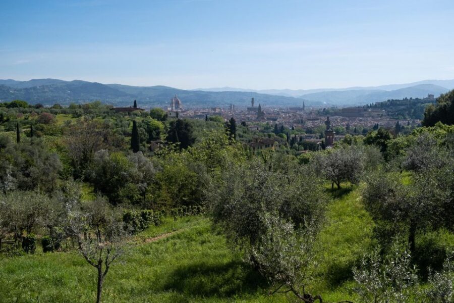 Tuscany Hills Bike Tour with Lunch at farm and Wine Tasting - Key points to know before you pedal
