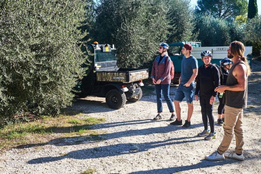 Tuscany Hills Bike Tour with Lunch at farm and Wine Tasting - Who should book this bike tour (and who should skip)