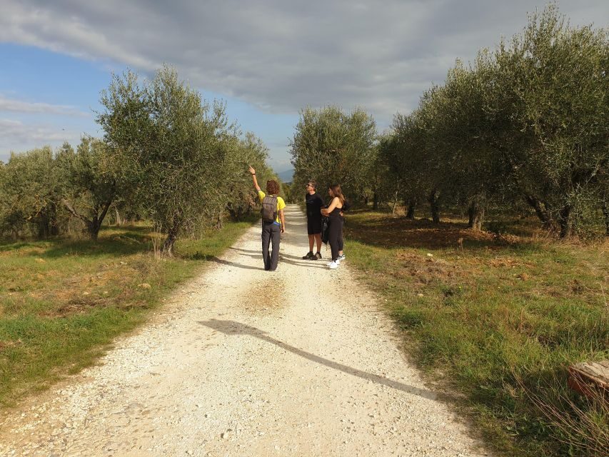 Tuscany Hills Bike Tour with Lunch at farm and Wine Tasting - Price and value: what $73.07 buys you