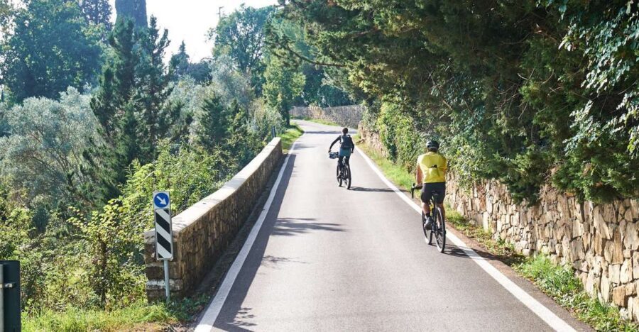 Tuscany Hills Bike Tour with Lunch at farm and Wine Tasting - Distance, elevation, and the real “fitness test”