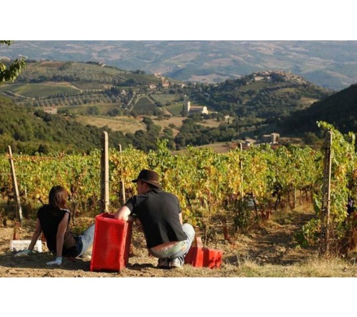 Tuscany: Montalcino Dinner at San Gimignano Winery - Four courses of Tuscan comfort (and how the menu actually lands)