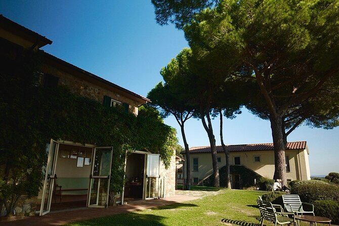 Tuscany & Pitigliano Day Tour from Rome with Wine Tasting & Lunch - Tenuta il Quinto Winery: Organic Wines, Cheese, Prosciutto, and the Working-Estate Feel