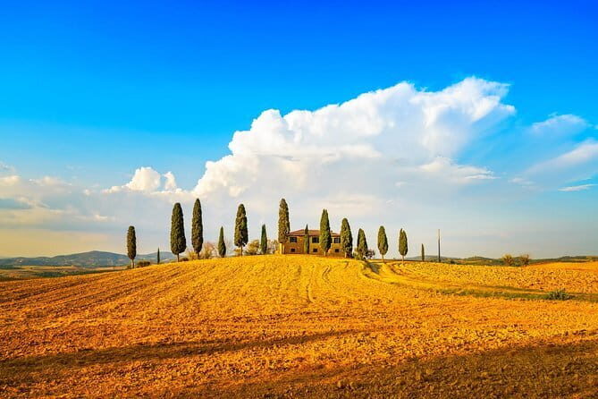 Tuscany Private Tour with Wine and Cheese Tasting from Florence - A private Tuscany day that feels planned, not rushed