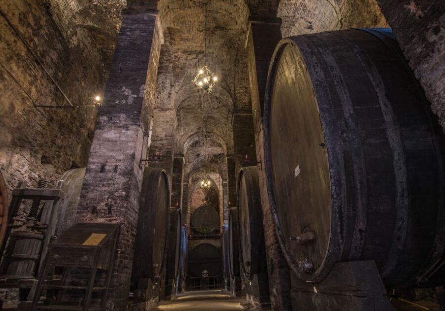 Tuscany: Self-Guided Video Tour with World's Top Experts - What you actually get: 70+ bite-sized videos, expert narration, and frequent updates